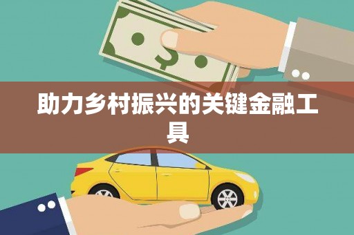岷县助力乡村振兴的关键金融工具