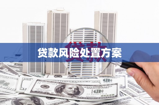 岷县贷款风险处置方案