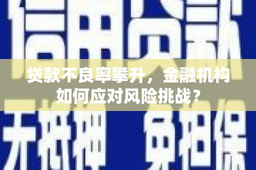 岷县贷款不良率攀升，金融机构如何应对风险挑战？