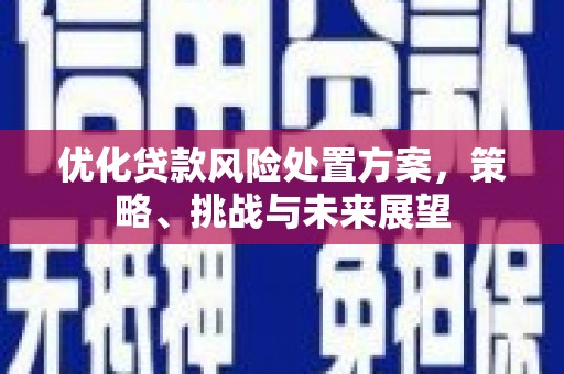岷县优化贷款风险处置方案，策略、挑战与未来展望
