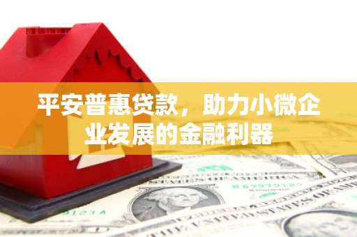 岷县平安普惠贷款，助力小微企业发展的金融利器