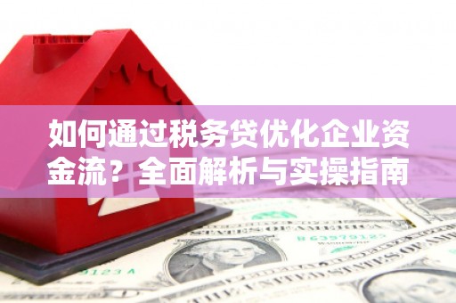 岷县如何通过税务贷优化企业资金流？全面解析与实操指南