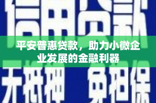 岷县平安普惠贷款，助力小微企业发展的金融利器