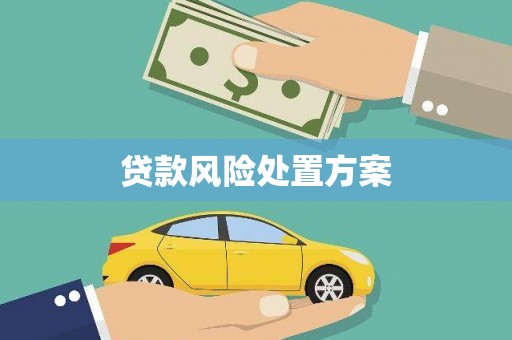 岷县贷款风险处置方案