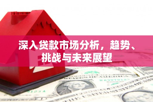 岷县深入贷款市场分析，趋势、挑战与未来展望