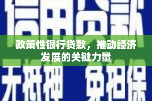 岷县政策性银行贷款，推动经济发展的关键力量