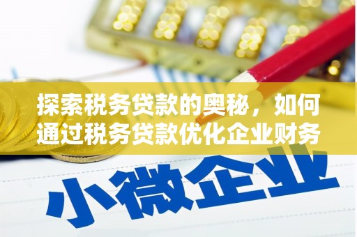 岷县探索税务贷款的奥秘，如何通过税务贷款优化企业财务