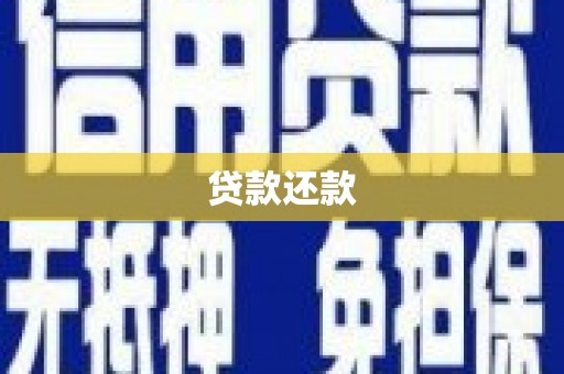 岷县贷款还款