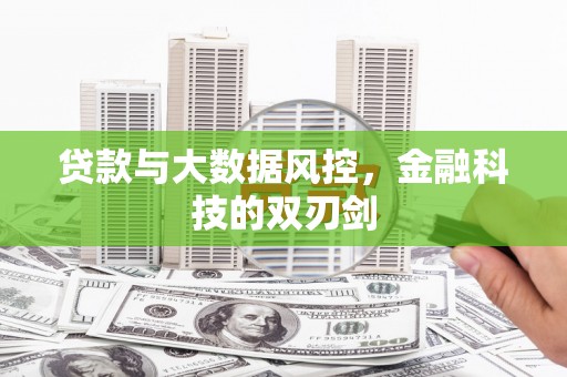 岷县贷款与大数据风控，金融科技的双刃剑