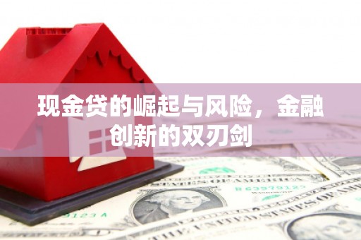 岷县现金贷的崛起与风险，金融创新的双刃剑