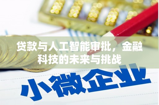 岷县贷款与人工智能审批，金融科技的未来与挑战