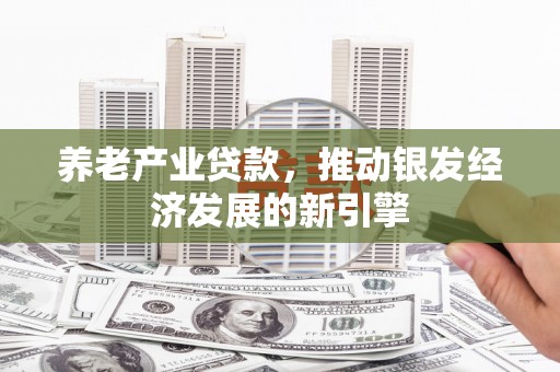 岷县养老产业贷款，推动银发经济发展的新引擎