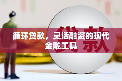 岷县循环贷款，灵活融资的现代金融工具