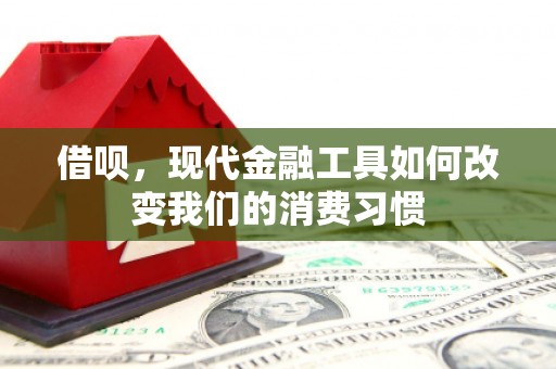 岷县借呗，现代金融工具如何改变我们的消费习惯