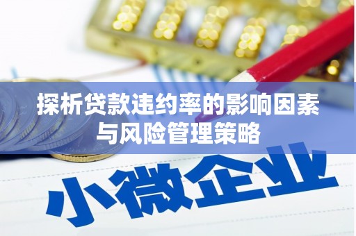 岷县探析贷款违约率的影响因素与风险管理策略
