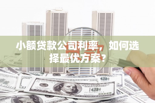 岷县小额贷款公司利率，如何选择最优方案？