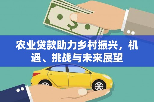 岷县农业贷款助力乡村振兴，机遇、挑战与未来展望