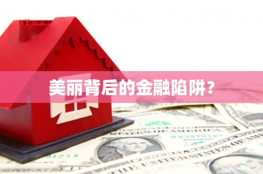 岷县美丽背后的金融陷阱？