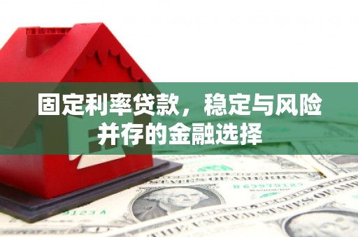 岷县固定利率贷款，稳定与风险并存的金融选择