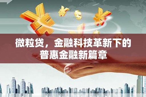 岷县微粒贷，金融科技革新下的普惠金融新篇章