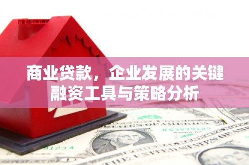岷县商业贷款，企业发展的关键融资工具与策略分析