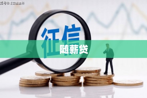 岷县随薪贷
