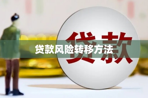 岷县贷款风险转移方法