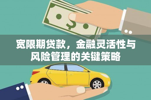 岷县宽限期贷款，金融灵活性与风险管理的关键策略