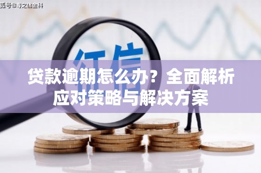 岷县贷款逾期怎么办？全面解析应对策略与解决方案