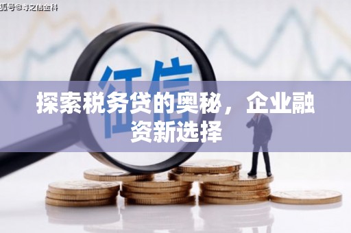 岷县探索税务贷的奥秘，企业融资新选择