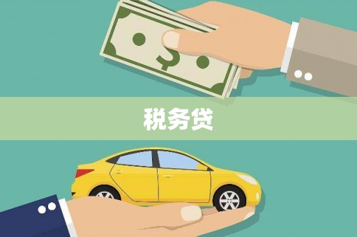 岷县税务贷