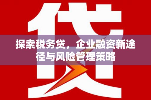 岷县探索税务贷，企业融资新途径与风险管理策略