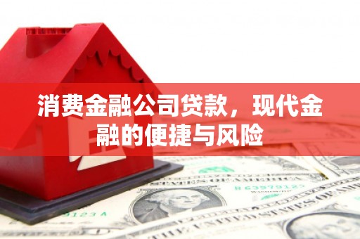 岷县消费金融公司贷款，现代金融的便捷与风险