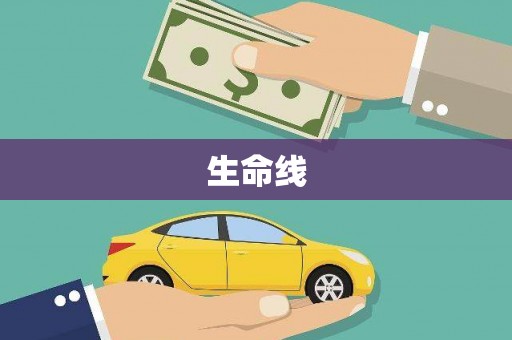 岷县生命线