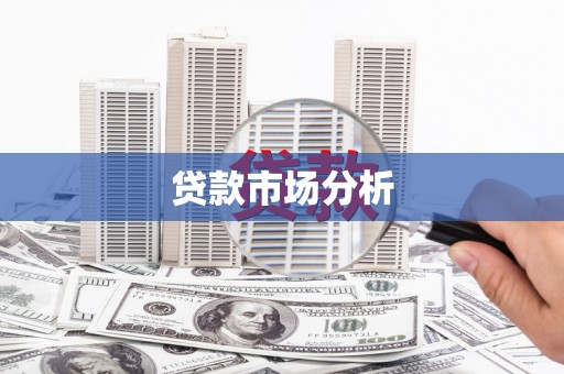 岷县贷款市场分析