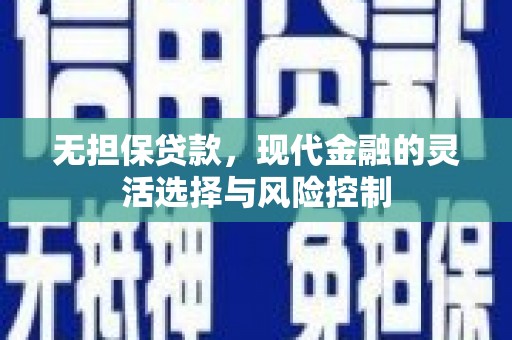 岷县无担保贷款，现代金融的灵活选择与风险控制