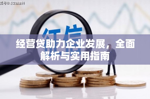岷县经营贷助力企业发展，全面解析与实用指南