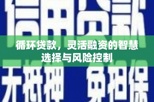 岷县循环贷款，灵活融资的智慧选择与风险控制
