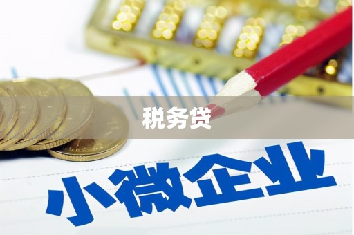 岷县税务贷