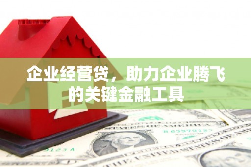 岷县企业经营贷，助力企业腾飞的关键金融工具