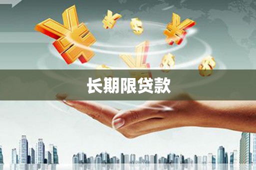 岷县长期限贷款