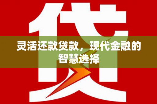 岷县灵活还款贷款，现代金融的智慧选择