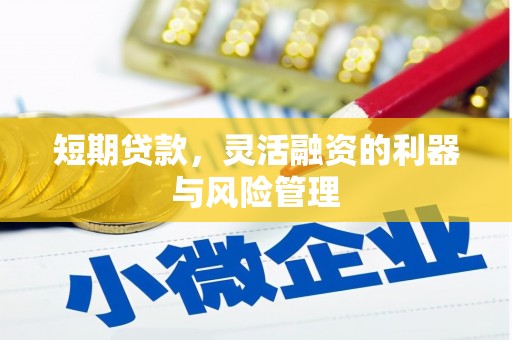 岷县短期贷款，灵活融资的利器与风险管理