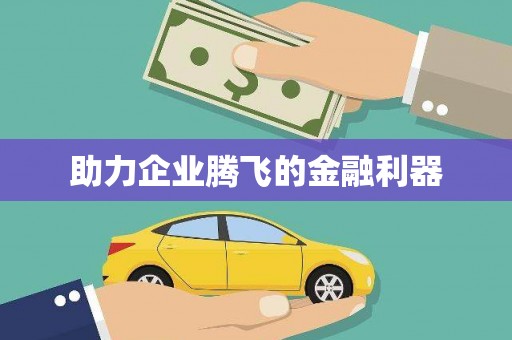 岷县助力企业腾飞的金融利器