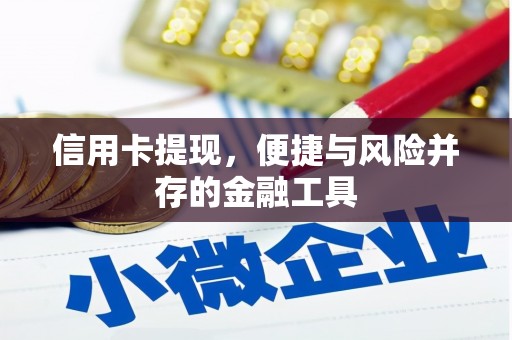 岷县信用卡提现，便捷与风险并存的金融工具