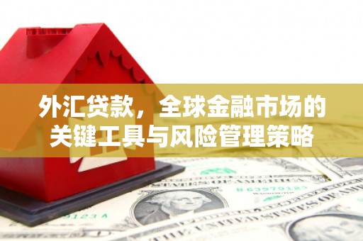 岷县外汇贷款，全球金融市场的关键工具与风险管理策略
