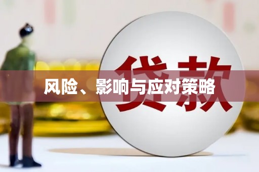 岷县风险、影响与应对策略