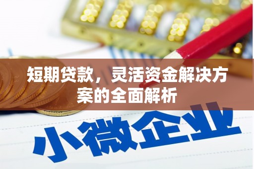岷县短期贷款，灵活资金解决方案的全面解析