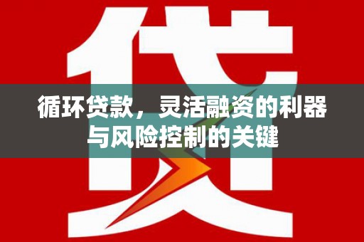 岷县循环贷款，灵活融资的利器与风险控制的关键
