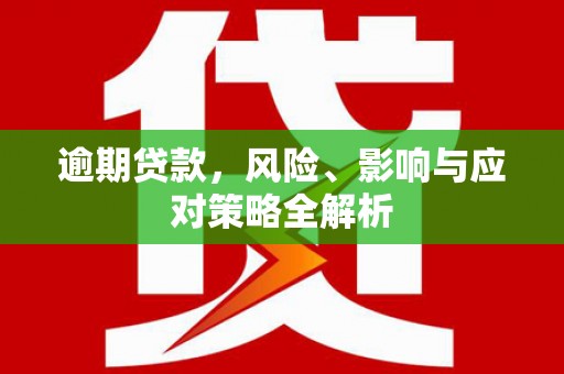 岷县逾期贷款，风险、影响与应对策略全解析
